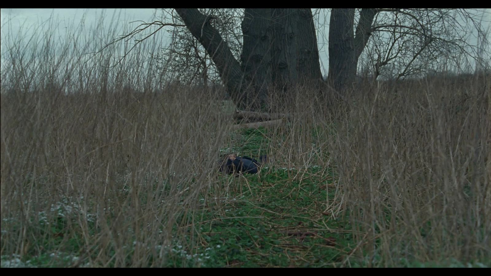 they found her in a field — still 4
